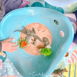 Moluk Bilibo Pastel> For 5+ Year Olds | For 4+ Year Olds