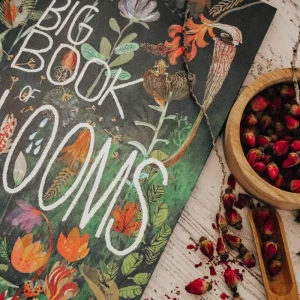 The Curated Parcel Book Subscription Box (3-6 Years)> For 5+ Year Olds | For 4+ Year Olds