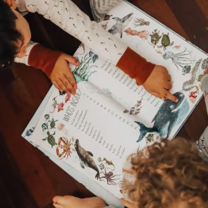 The Curated Parcel Book Subscription Box (Mixed Age)> For 5+ Year Olds | For 4+ Year Olds