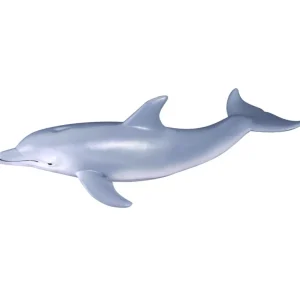 CollectA // Bottlenose Dolphin> Ocean & Sea Theme | Small World Play