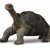 CollectA // Tortoise Pinta Island> Small World Play