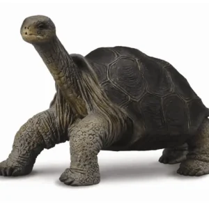 CollectA // Tortoise Pinta Island> Small World Play
