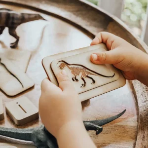 The Curated Parcel Dino Lover Collection Box (2-5 years)> For 3+ Year Olds | Dinosaur & Dragon Theme