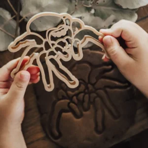 Kinfolk Pantry Eco Cutter - Jumping Spider> Halloween Theme