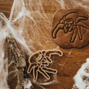 Kinfolk Pantry Eco Cutter - Jumping Spider> Halloween Theme