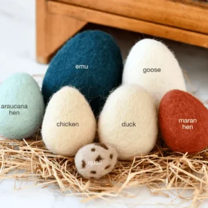 Tara Treasures Felt Eggs (7 Types of Poultry Eggs)> Small World Play