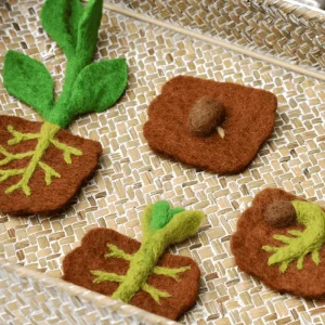 Tara Treasures Felt Lifecycle A Bean> Educational Play