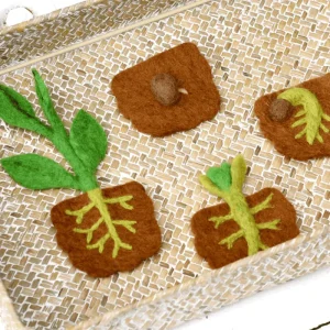 Tara Treasures Felt Lifecycle A Bean> Educational Play