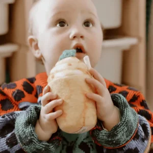 Tara Treasures Felt Mango Smoothie> Food Play