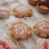 Tara Treasures Felt 100s and 1000s Biscuits (Set of 3)> Food Play