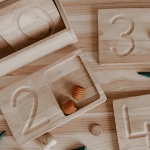 QToys Jumbo Counting & Collection Trays> Educational Play