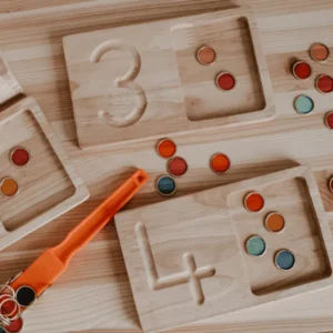 QToys Jumbo Counting & Collection Trays> Educational Play