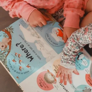 The Curated Parcel Play & Learn Boxes (3-5 Years)> Bestsellers