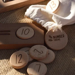 Our Earth Life Reversible Counting Tray and Tokens> Educational Play