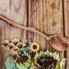 Wild Child Mountain Wild Tree Collection // Twig Spoons ⓒ> Australiana Theme | Sensory Play