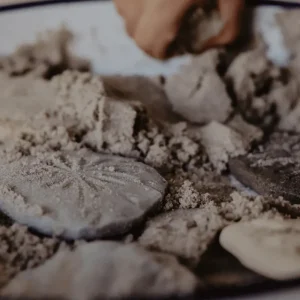 Yellow Door // Let's Investigate - Fossils> Sensory Play | Educational Play