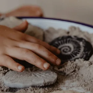 Yellow Door // Let's Investigate - Fossils> Sensory Play | Educational Play