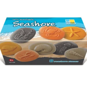 Yellow Door // Let's Investigate - Seashore> Ocean & Sea Theme | Sensory Play