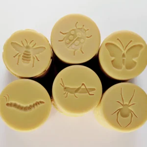 Yellow Door // Let's Roll - Garden Bugs> Sensory Play