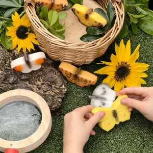 Yellow Door // Sensory Play Stones - Butterflies> Sensory Play