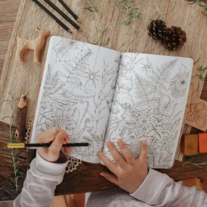 Books Your Wild Journal> Australiana Theme | Literacy Corner